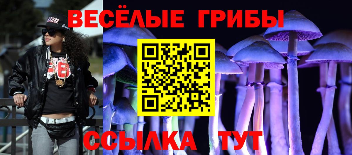 Псилоцибиновые грибы мицелий Великие Луки