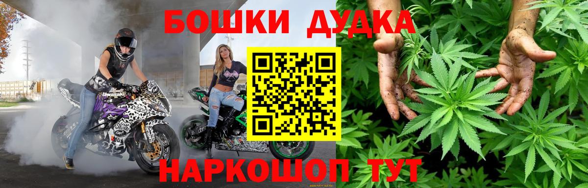 Конопля семена  Конопля SATIVA & INDICA  Великие Луки  Вход с VPN  Каннабис индика 